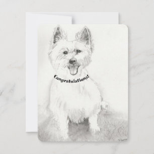 Congratulations Blank Card