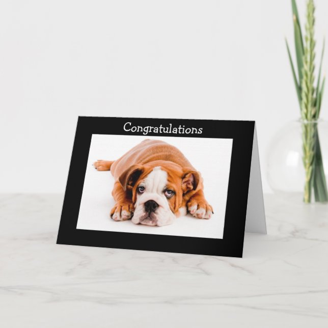 Congratulations  Bulldog Greeting Card (Front)