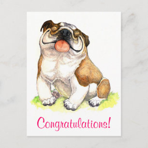 Congratulations Bulldog Puppy Greeting Postcard