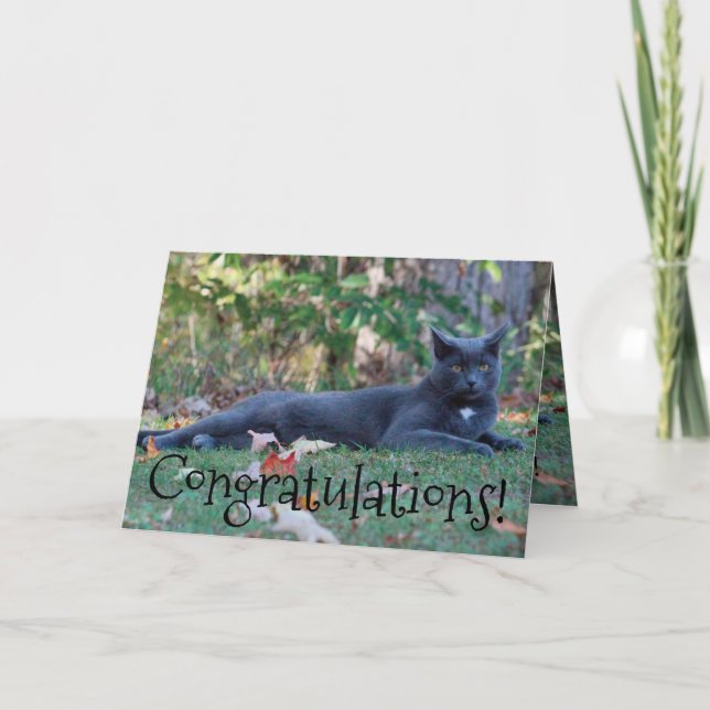 Congratulations Card (Front)
