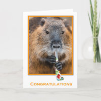Congratulations card of beaver with flute