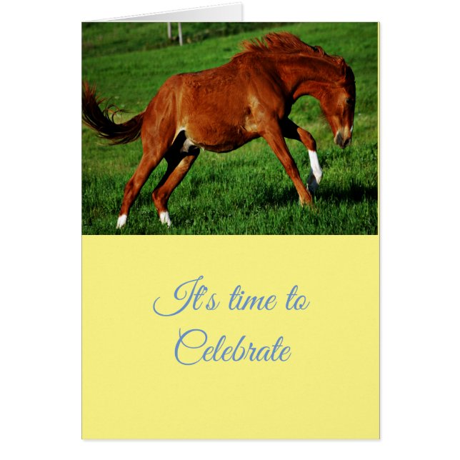 Congratulations Celebration greetings  (Front)