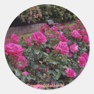 Congratulations! Classic Round Sticker