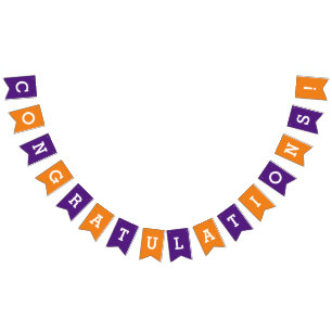 Congratulations Coloured Bunting Banner Party Flag
