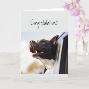 Congratulations Couldn't be Happier Fun Dog Card