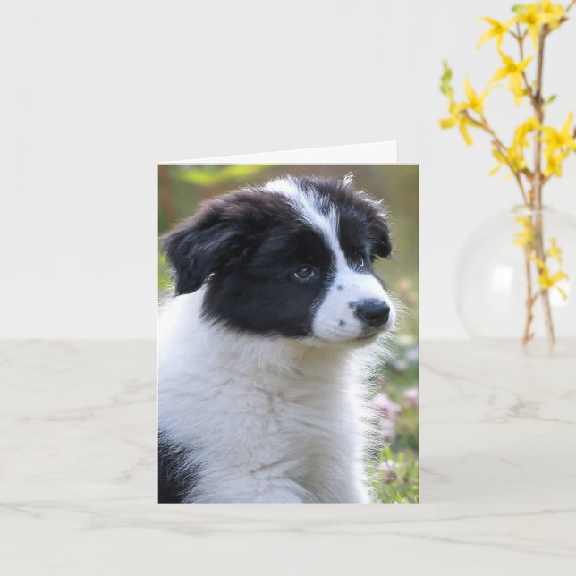 Congratulations Cute Puppy Card (Yellow Flower)