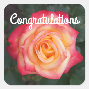 Congratulations Dream Come True Rose #1 Stickers
