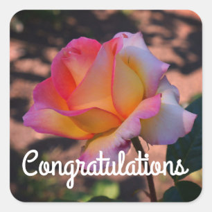 Congratulations Elle Rose #1 Stickers