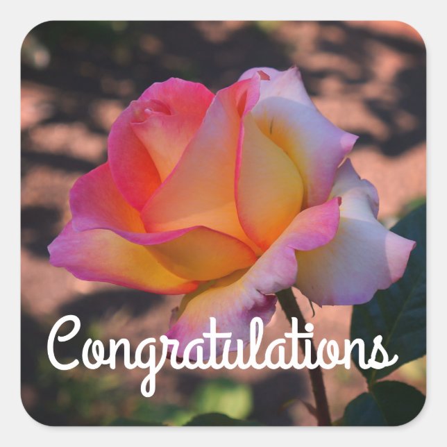 Congratulations Elle Rose #1 Stickers (Front)