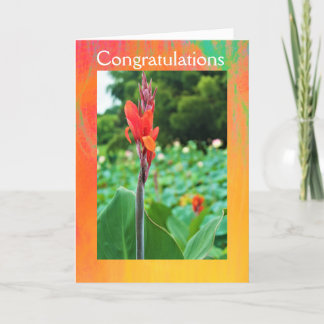 Congratulations Folded Greeting Card by Jo Images