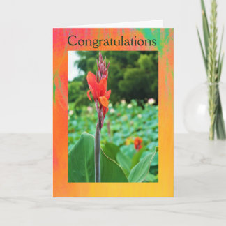 Congratulations Folded Greeting Card by Jo Images