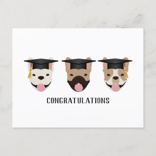 Congratulations French Bulldogs Postcard
