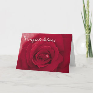 Congratulations - General - Red Rose Holiday Card
