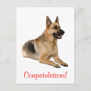 Congratulations German Shepherd Puppy Dog Postcard