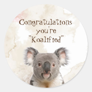 Congratulations Graduation Fun Koalified Humour Ca Classic Round Sticker