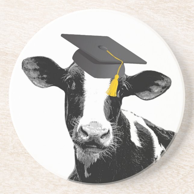 Congratulations Graduation Funny Cow in Cap Coaster (Front)