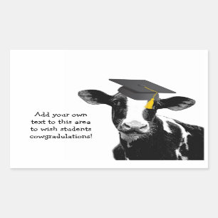 Congratulations Graduation Funny Cow in Cap Rectangular Sticker