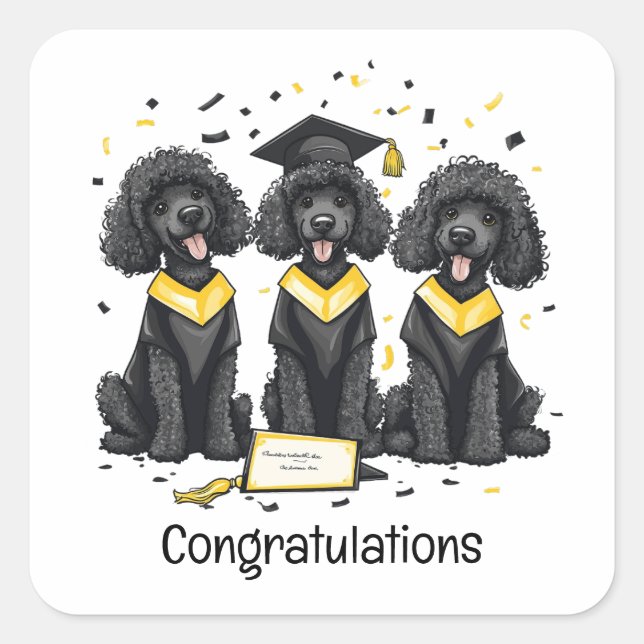 Congratulations Graduation Standard Poodle Dogs Square Sticker (Front)