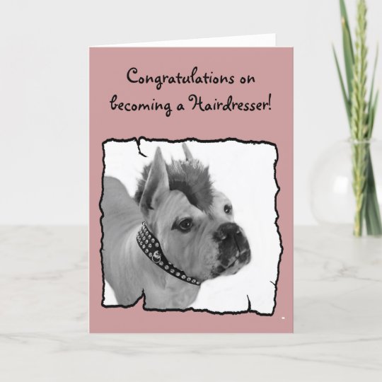 Congratulations hairdresser boxer greeting card | Zazzle.co.nz