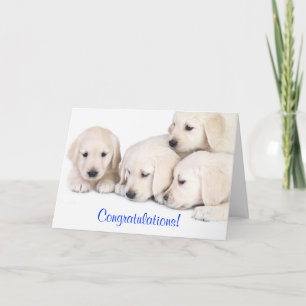 Congratulations Labrador Retriever Puppies Card