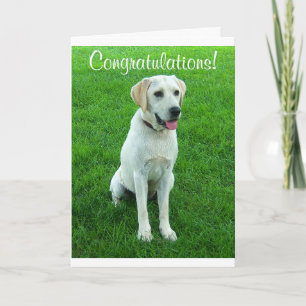 Congratulations Labrador Retriever Puppy Dog Card