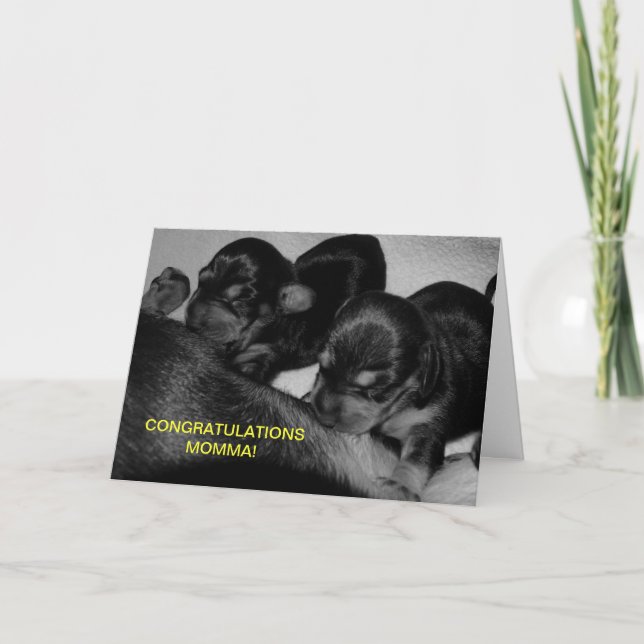 CONGRATULATIONS MOMMA! CARD (Front)