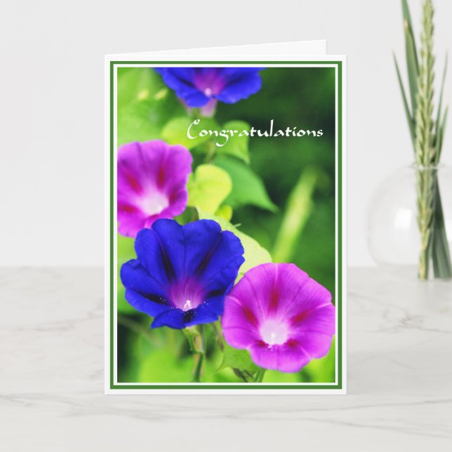 Congratulations - Morning Glories Greeting Card (Front)
