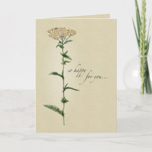 Congratulations, Natural Wildflower, Religious Card