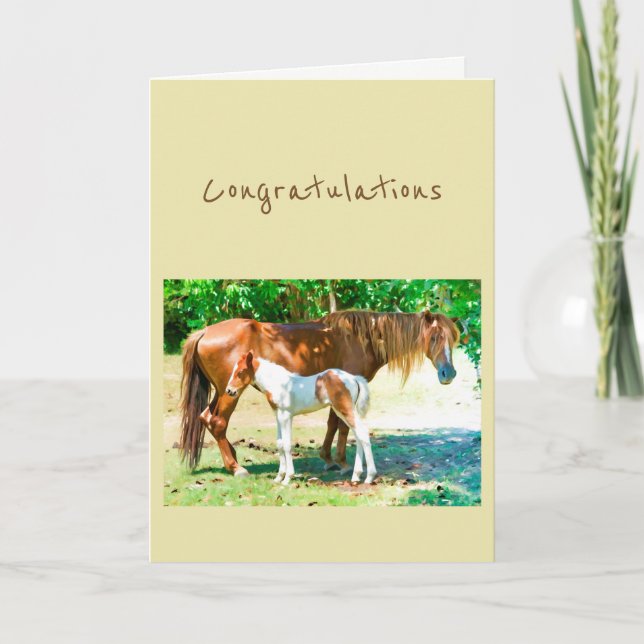 Congratulations New Addition Baby Horse Foal Card (Front)