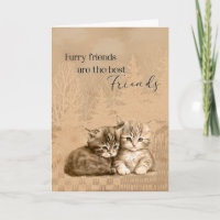 Congratulations New Cat or Kitten Furry Friends