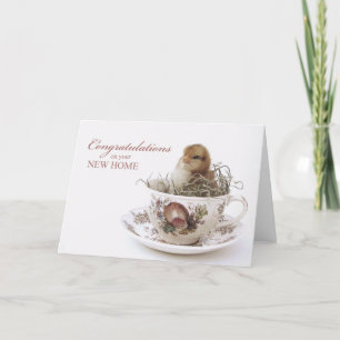 Congratulations New Home, Chick in Teacup Card
