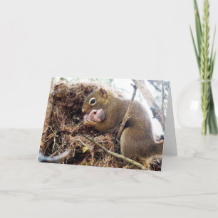 Congratulations New Mummy Baby Card