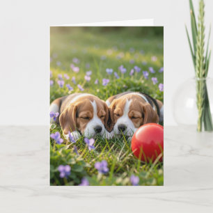 Congratulations on Two New Puppies Welcome Beagles Card