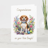 Congratulations on your New Beagle