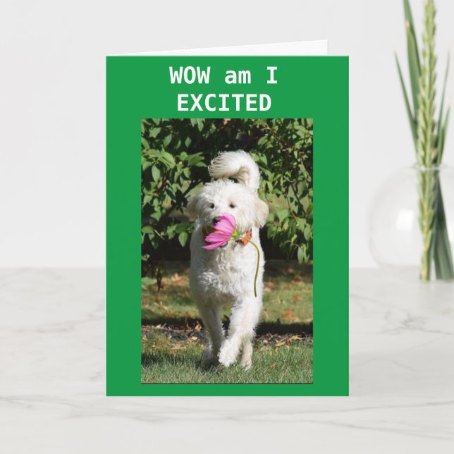 CONGRATULATIONS ON YOUR **NEW HOME** CARD (Front)