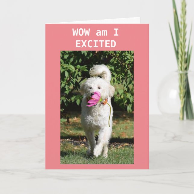 CONGRATULATIONS ON YOUR **NEW HOME** CARD (Front)