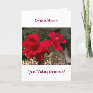 Congratulations on Your Wedding Anniversary! Card