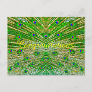 Congratulations Postcard