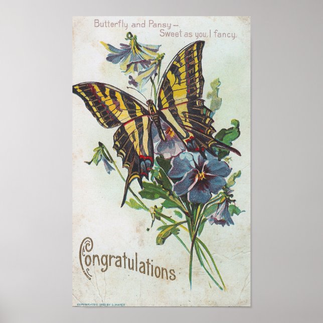 Congratulations Poster (Front)