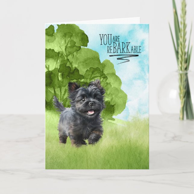 Congratulations reBARKable Affenpinscher Dog Card (Front)