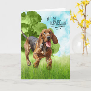 Congratulations reBARKable Bloodhound Dog Card
