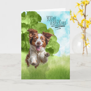 Congratulations reBARKable Brittany Spaniel Dog Card