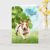 Congratulations reBARKable Bull Terrier Dog