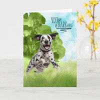 Congratulations reBARKable Dalmatian Dog