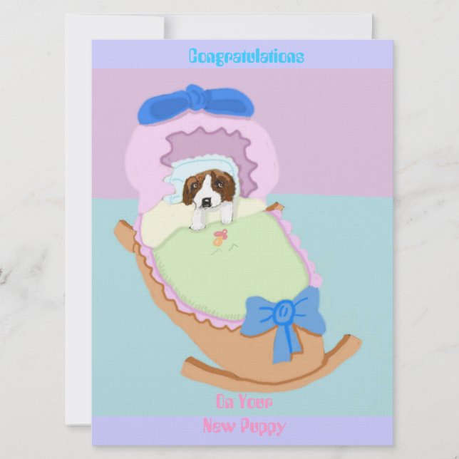 Congratulations; Saint Bernard Card (Front)