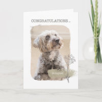 Congratulations Shelter Dog Adoption Card