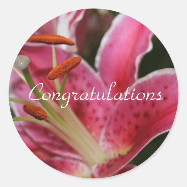 Congratulations stickers for gift giving (Front)