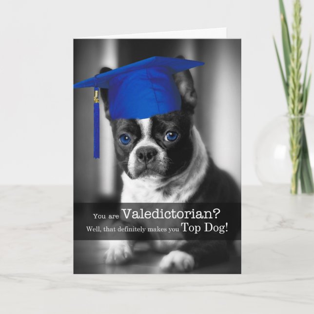 Congratulations Valedictorian Boston Terrier Dog Card (Front)