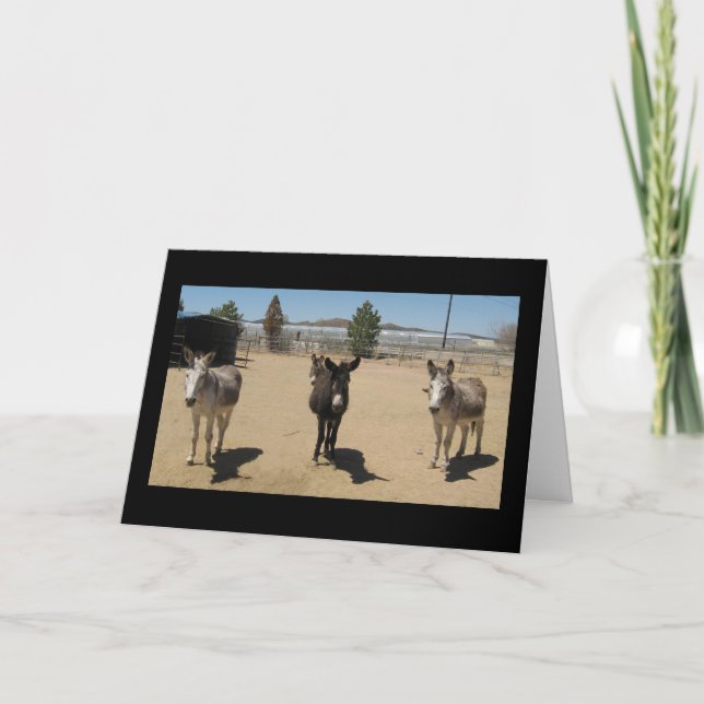 Congratulations Veterinary Graduate - Ranch Farm Card (Front)