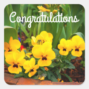 Congratulations Yellow Pansy #1 Stickers